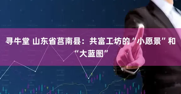 寻牛堂 山东省莒南县：共富工坊的“小愿景”和“大蓝图”