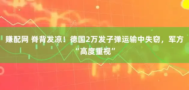 赚配网 脊背发凉!德国2万发子弹运输中失窃,军方“高度重视”