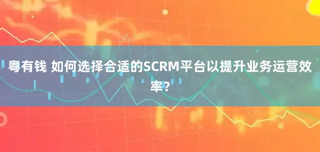 粤有钱 如何选择合适的SCRM平台以提升业务运营效率？