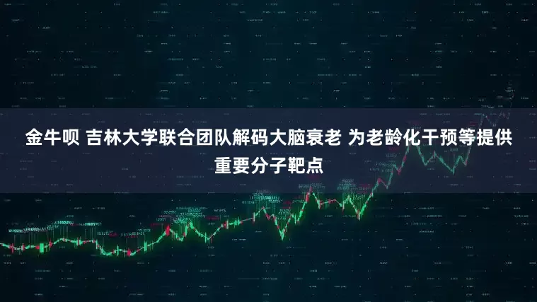 金牛呗 吉林大学联合团队解码大脑衰老 为老龄化干预等提供重要分子靶点